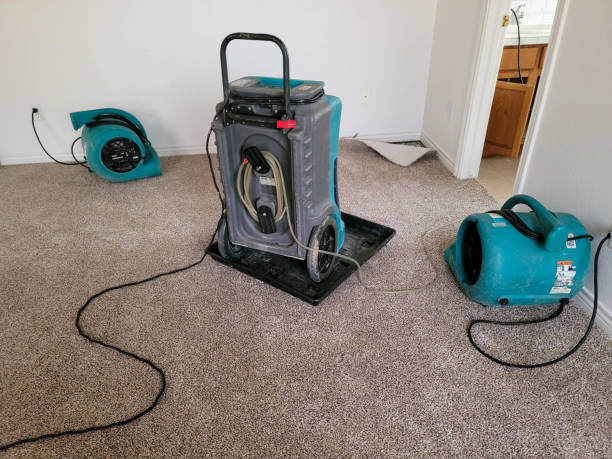 Best Water damage contractors near me  in Gloverville, SC