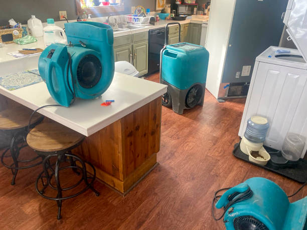 24/7 water damage repair in Gloverville, SC