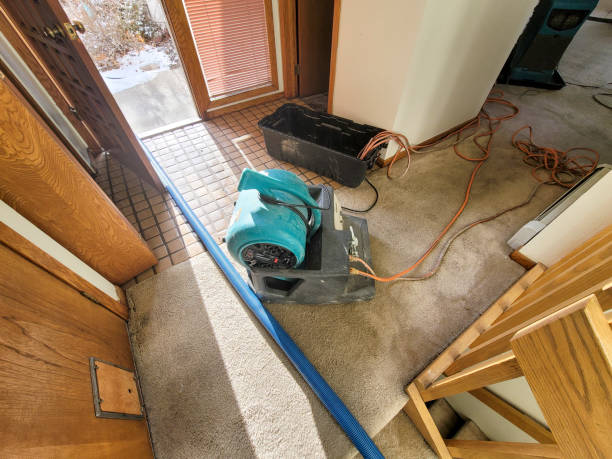 Best 24-hour water damage restoration  in Gloverville, SC