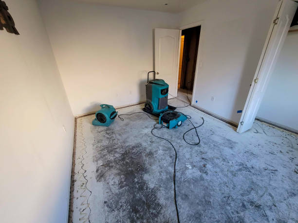 Best Commercial water damage restoration  in Gloverville, SC