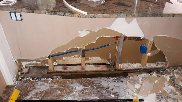 Best Flood damage cleanup  in Gloverville, SC