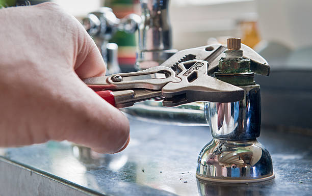 Best Mold removal after water damage  in Gloverville, SC