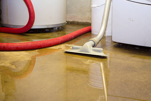 Best Water damage restoration near me  in Gloverville, SC