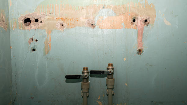 Best Flooded house restoration  in Gloverville, SC