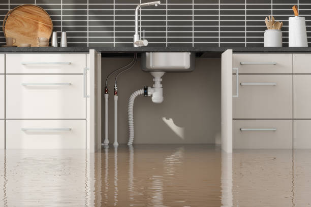 Best Ceiling water damage repair  in Gloverville, SC