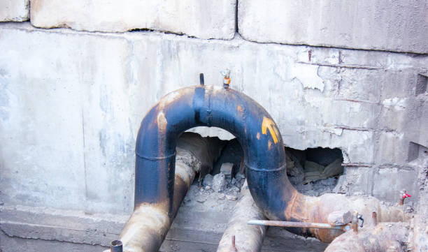 Best Mold removal after water damage  in Gloverville, SC