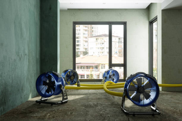 Best Water damage restoration cost  in Gloverville, SC