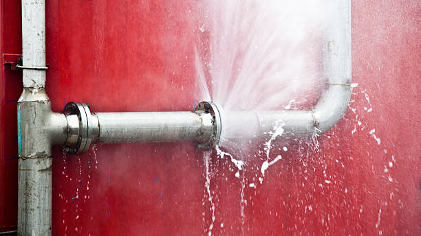 Best Water damage contractors near me  in Gloverville, SC