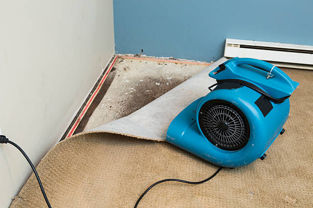 Best 24/7 water damage repair  in Gloverville, SC
