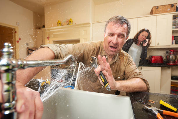 Best Water damage mitigation services  in Gloverville, SC